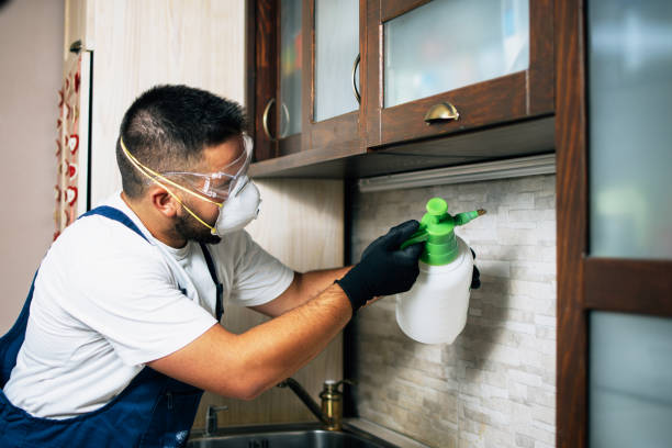 Trusted Fort Denaud, FL Pest Control Experts