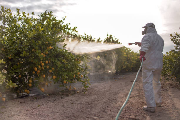 Best Pest Inspection Near Me  in Fort Denaud, FL