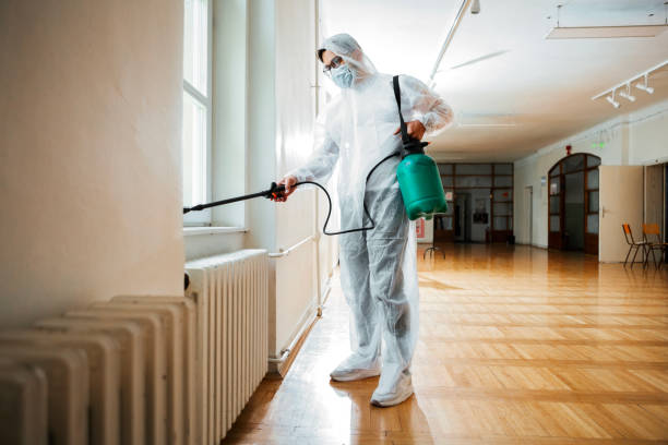 Best Local Pest Control Services  in Fort Denaud, FL