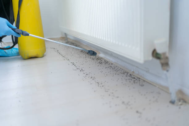 Best Best Pest Control Companies  in Fort Denaud, FL