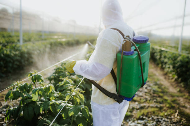 Pest Control Cost in Fort Denaud, FL